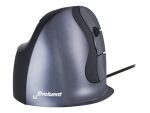 BakkerElkhuizen Evoluent D Large - Vertical mouse - ergonomic - right-handed - optical - 6 buttons - wired - USB