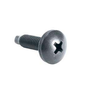 25PC 10-32 RACK SCREWS W/